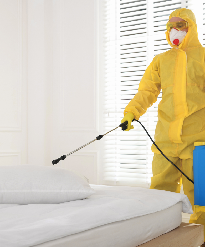 Professional Pest Control Team in Mawson Lakes